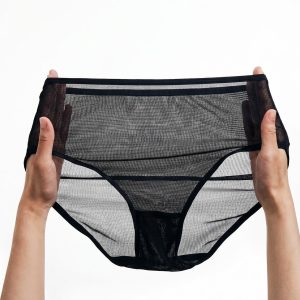 Sheer High-Cut Silk Bikini Hipster Panties